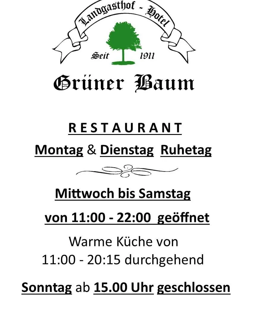Landgasthof Hotel Gruener Baum Nuremberg